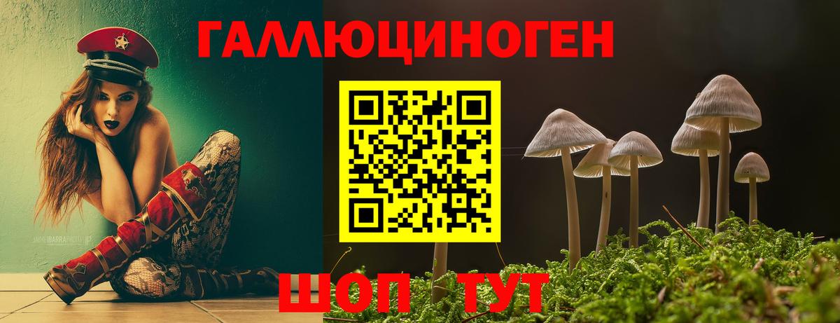 Михайловка  Псилоцибиновые грибы ЛСД  Вход с VPN 