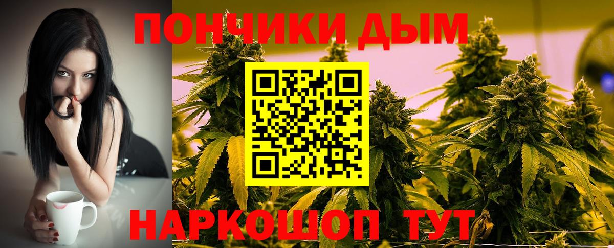 Марихуана планчик Михайловка
